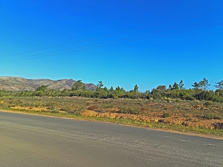 0 Bedroom Property for Sale in Fisherhaven Western Cape